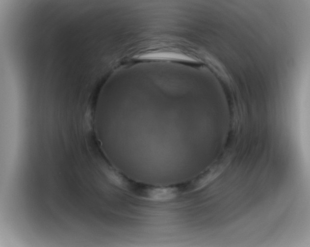 X0000115610465200911171152
