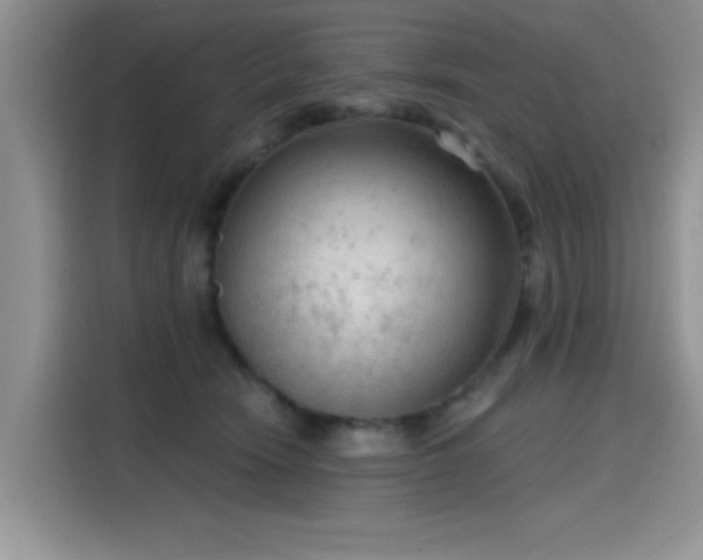 X0000115610466200911171152