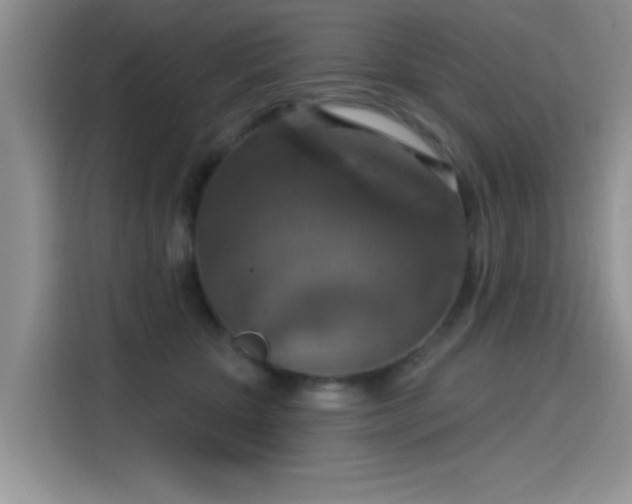 X0000115610467200911171152