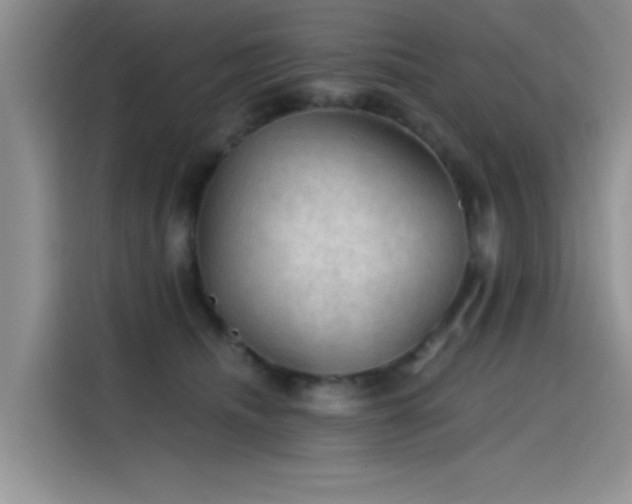 X0000115610468200911171152