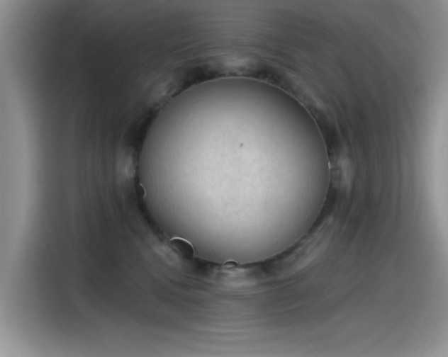 X0000115610472200911171152