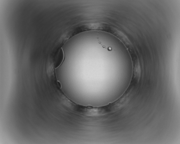 X0000115610473200911171152
