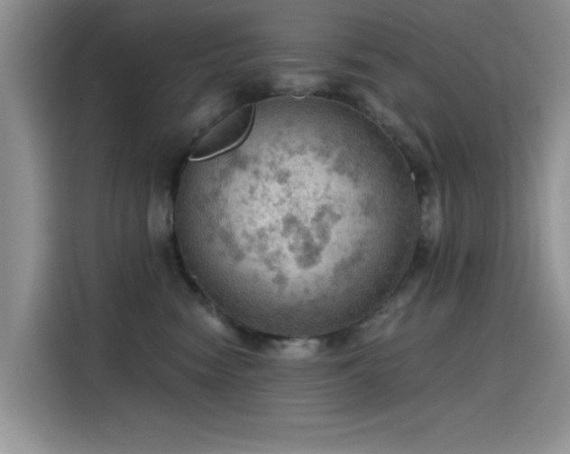 X0000115610474200911171152