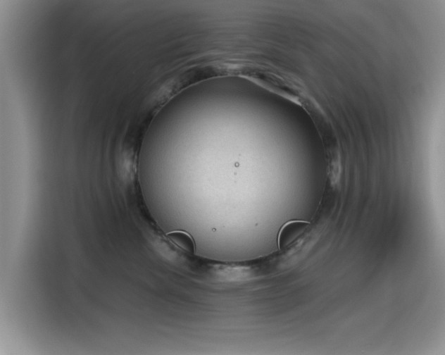 X0000115610476200911171152