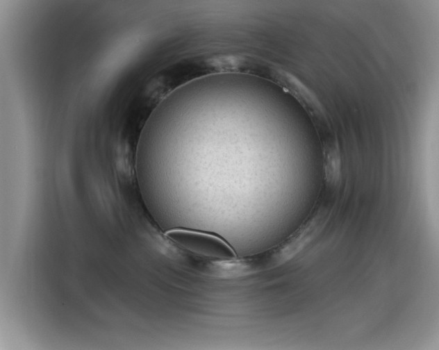 X0000115610477200911171152