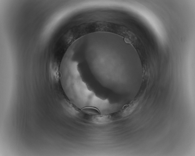 X0000115610479200911171152