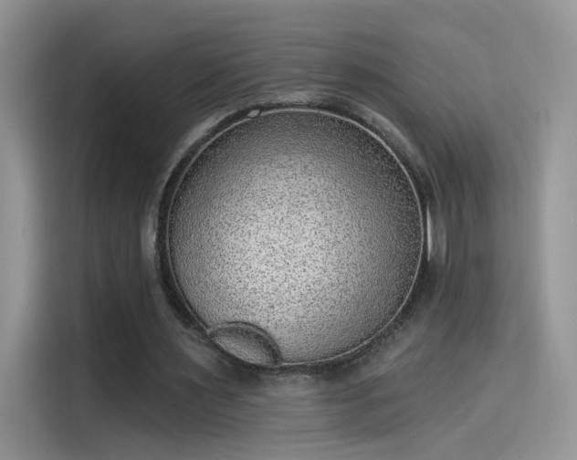 X0000115610483200911171151