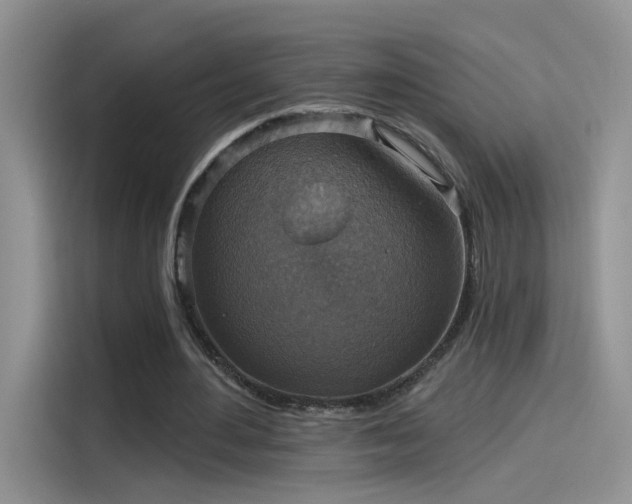 X0000115610484200911171151