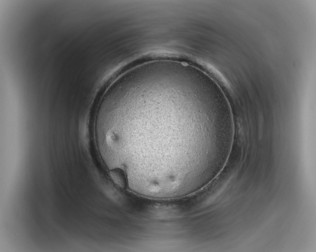X0000115610487200911171151