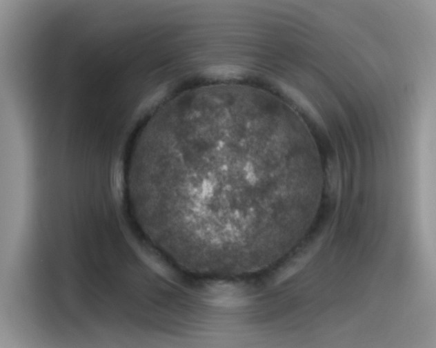 X0000115610494200911171151