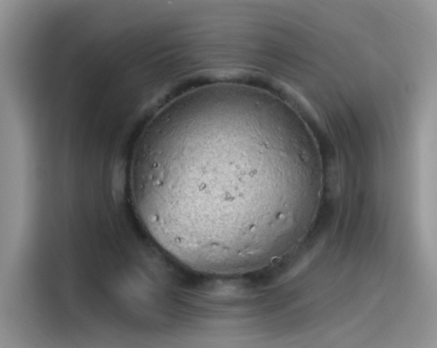 X0000115610495200911171151