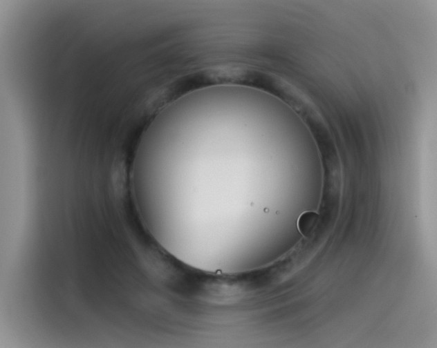 X0000115610498200911171151