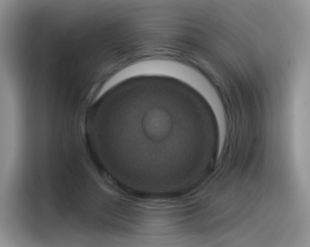 X0000115610500200911171151