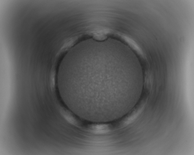 X0000115610501200911171151