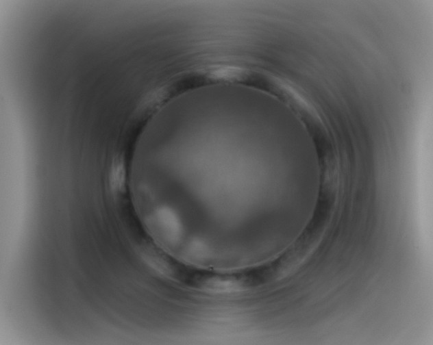 X0000115610502200911171151