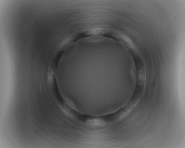 X0000115610503200911171151