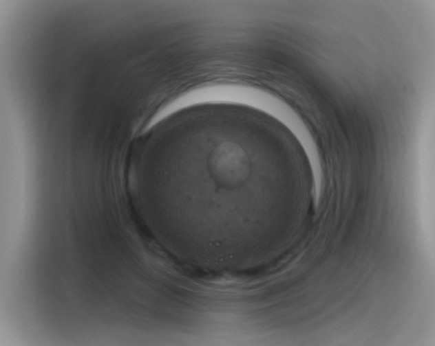 X0000115610504200911171151