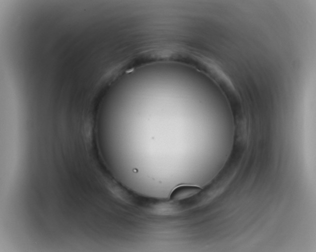 X0000115610505200911171151