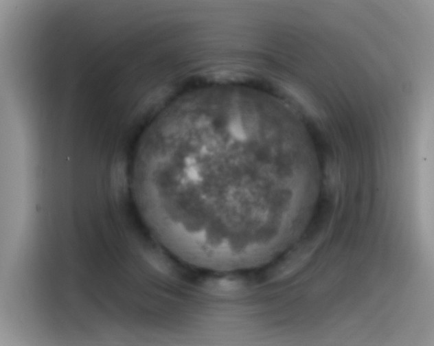 X0000115610506200911171151