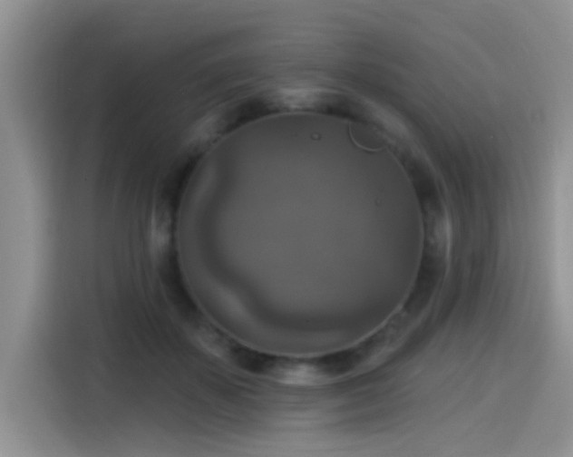 X0000115610507200911171151