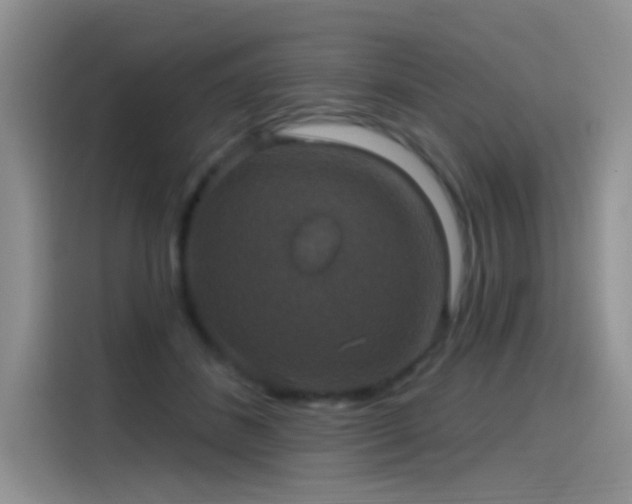 X0000115610508200911171151