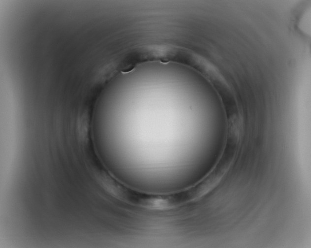 X0000115610509200911171151