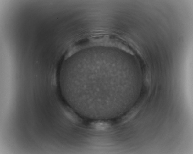 X0000115610512200911171151