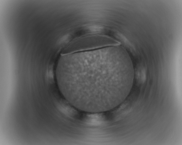 X0000115610516200911171151