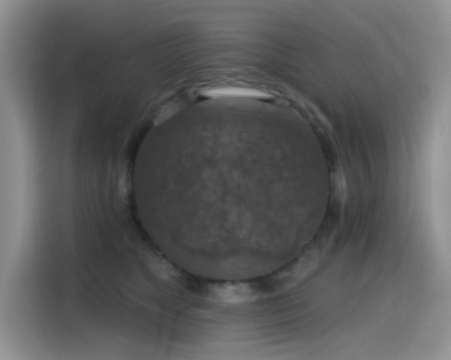 X0000115610517200911171151