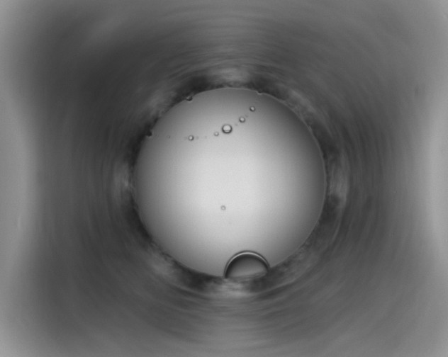 X0000115610518200911171151