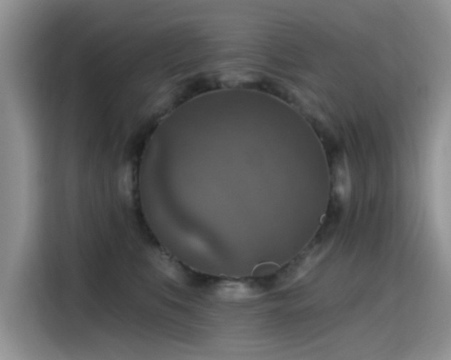 X0000115610519200911171151