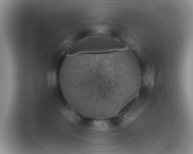 X0000115610520200911171151
