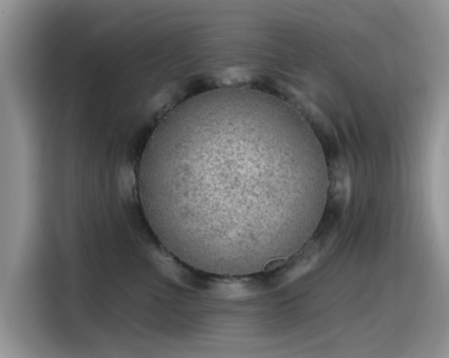 X0000115610523200911171151