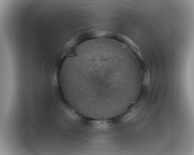 X0000115610524200911171151