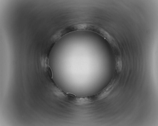X0000115610525200911171151