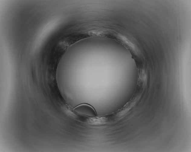 X0000115610526200911171151