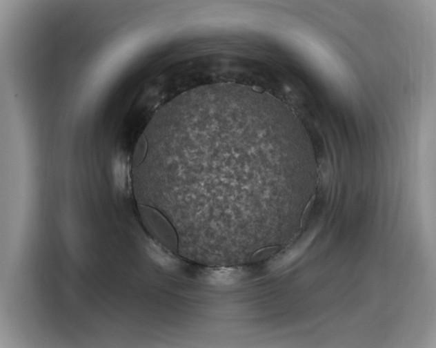 X0000115610527200911171151