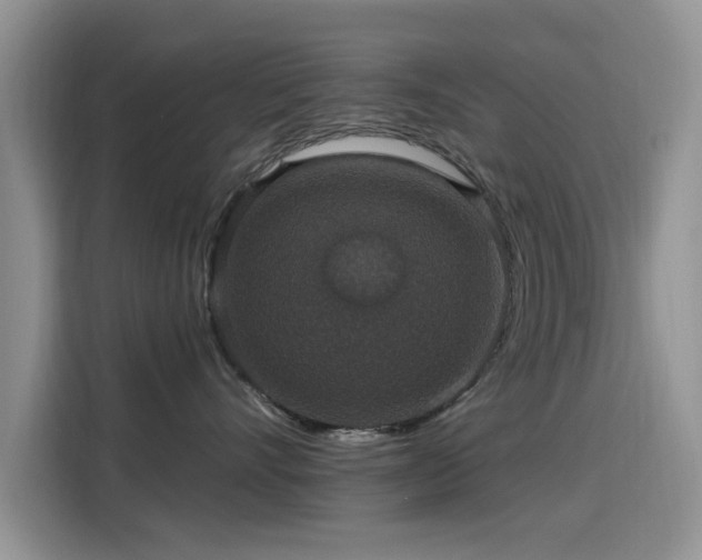 X0000115610528200911171151