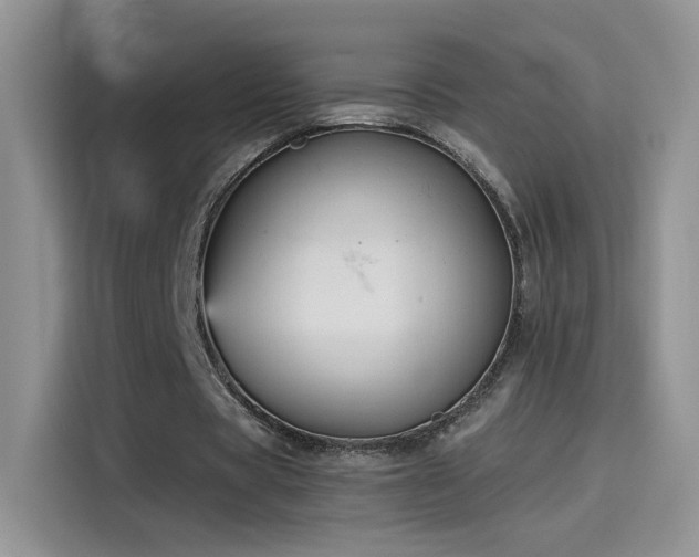 X0000115610529200911171150