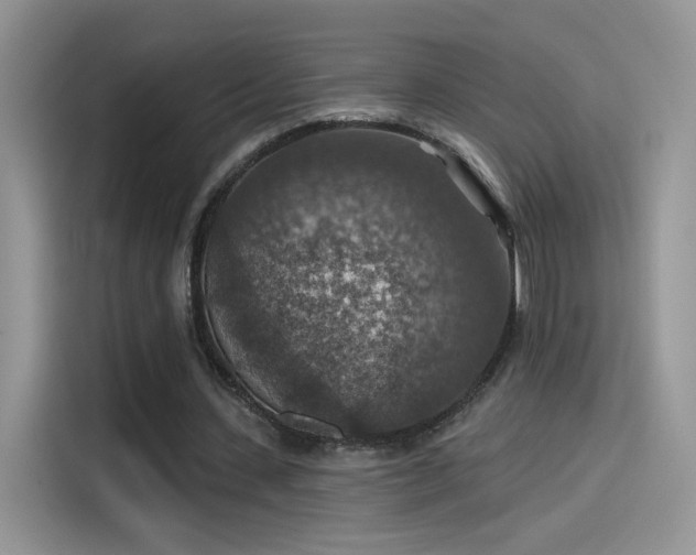 X0000115610531200911171150