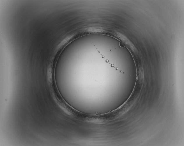 X0000115610533200911171150