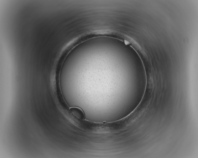 X0000115610535200911171150