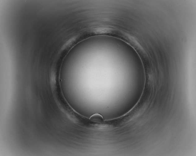 X0000115610539200911171150