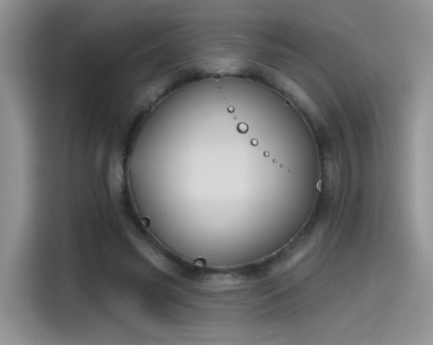 X0000115610541200911171150