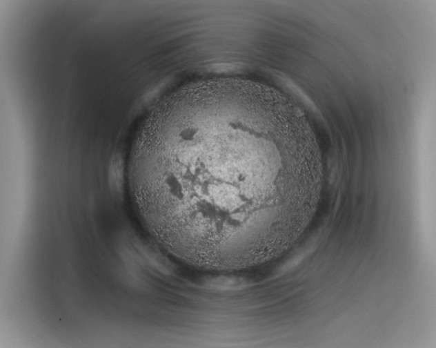X0000115610542200911171150
