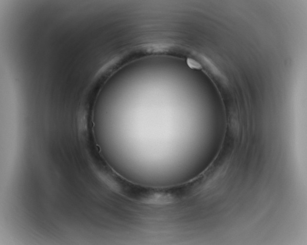 X0000115610543200911171150