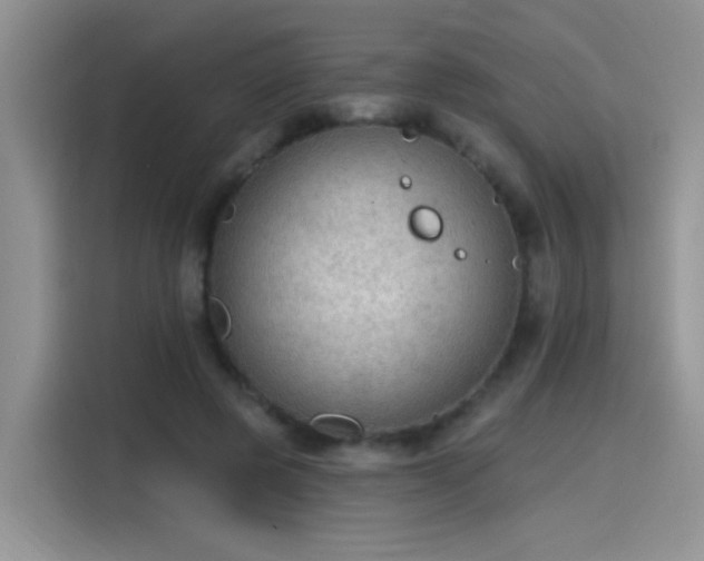 X0000115610545200911171150