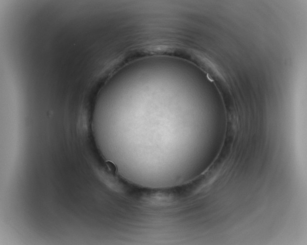 X0000115610546200911171150