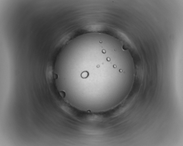 X0000115610549200911171150