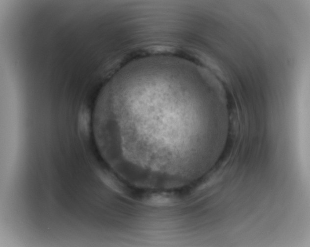 X0000115610550200911171150